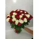 Red and white roses
