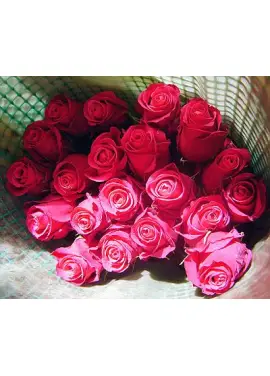 Red rose Cherry Oh