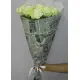 Roses in newspaper Roses in newspaper