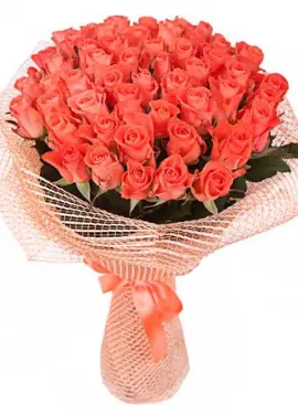 Orange roses