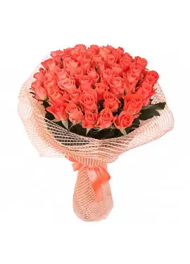 Orange roses