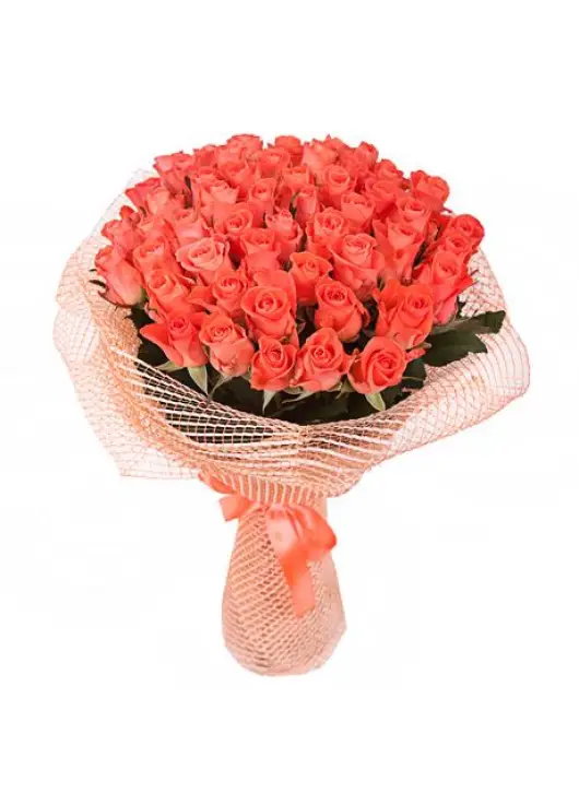 Orange roses Orange roses