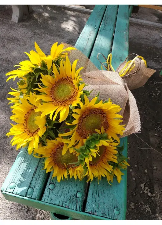Sunflowers bouquette Sunflowers bouquette