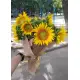 Sunflowers bouquette Sunflowers bouquette