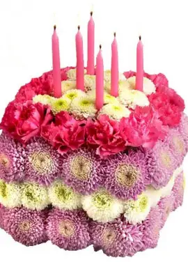 Cake