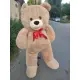 A huge teddy bear