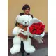 19 roses + big bear 19 roses + big bear