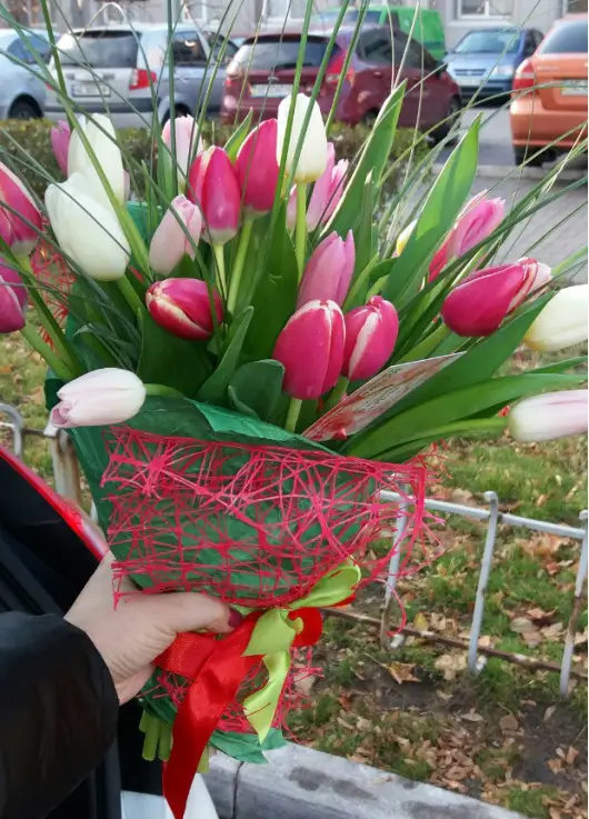 Bouquet white and pink tulips Bouquet white and pink tulips