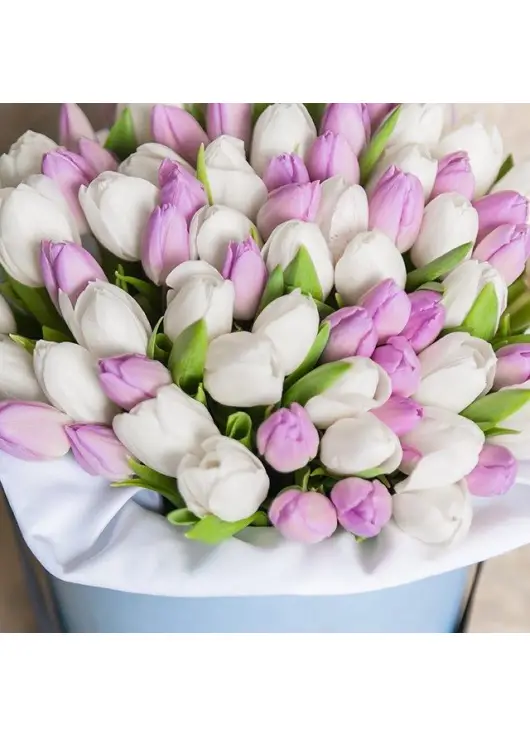 Mix Tulip in a hat box
