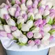 Mix Tulip in a hat box