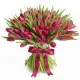 Bouquet of 101 raspberry tulips (imported, Netherlands)