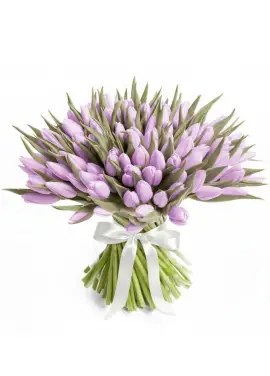 Bouquet of 101 lilac tulips (imported, Netherlands)