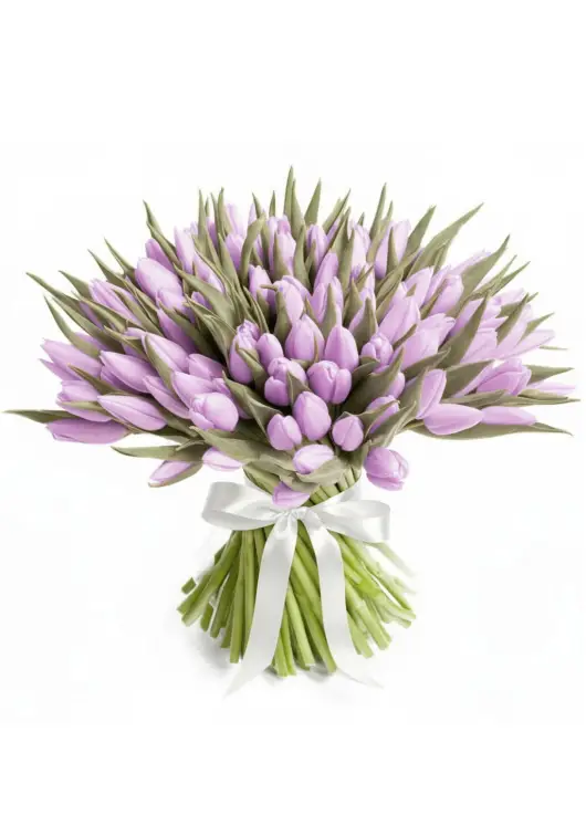 Bouquet of 101 lilac tulips (imported, Netherlands)