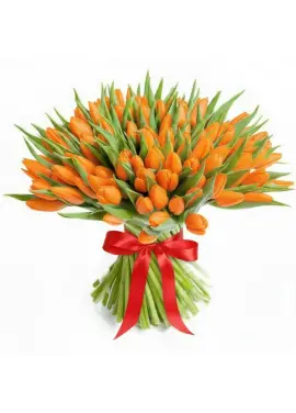 Bouquet of 101 orange tulips (imported, Netherlands)