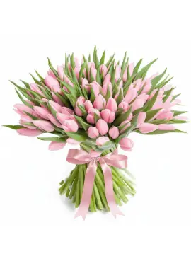 Bouquet of 101 pink tulips (imported, Netherlands)