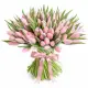 Bouquet of 101 pink tulips (imported, Netherlands)