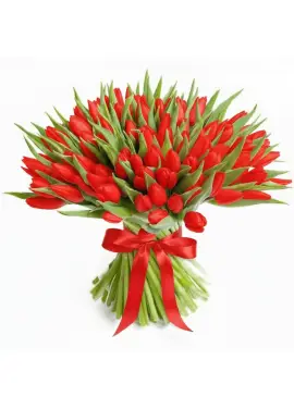 Bouquet of 101 red tulips (imported, Netherlands)