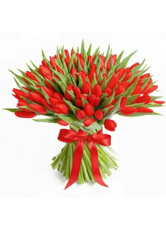 Bouquet of 101 red tulips (imported, Netherlands)