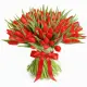 Bouquet of 101 red tulips (imported, Netherlands)