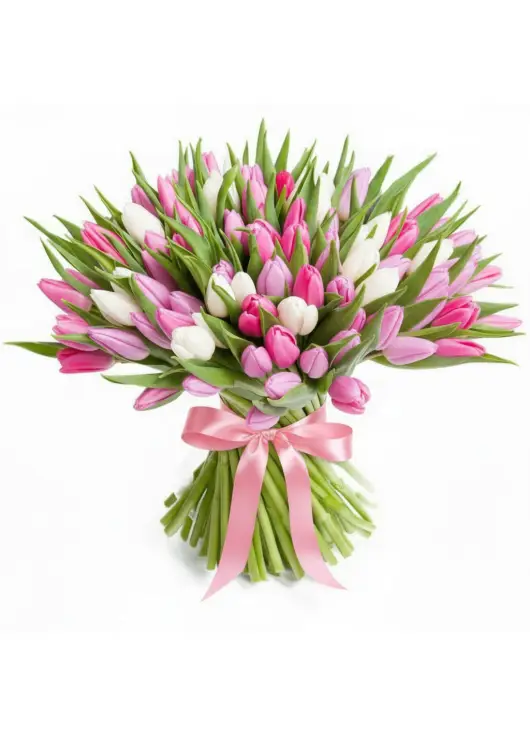 Bouquet of 101 tender tulips (imported, Netherlands)