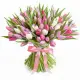 Bouquet of 101 tender tulips (imported, Netherlands)