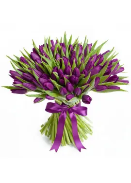 Bouquet of 101 violet tulips (imported, Netherlands)