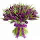 Bouquet of 101 violet tulips (imported, Netherlands)