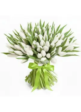 Bouquet of 101 white tulips (imported, Netherlands)