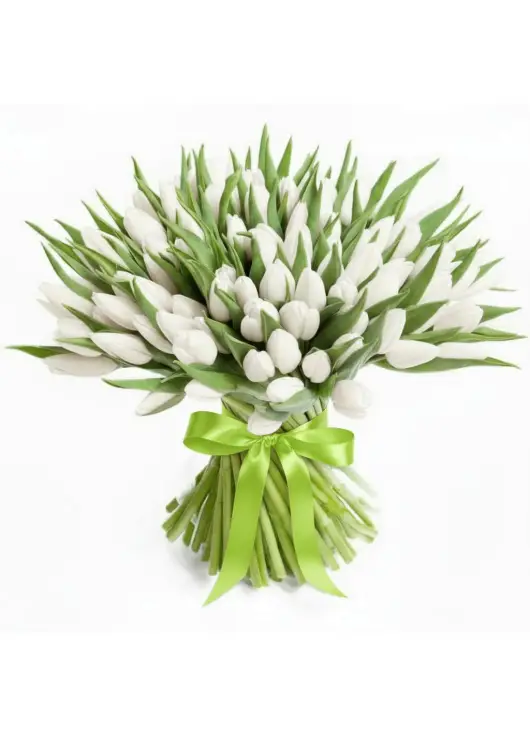 Bouquet of 101 white tulips (imported, Netherlands)