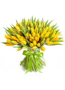 Bouquet of 101 yellow tulips (imported, Netherlands)