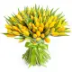 Bouquet of 101 yellow tulips (imported, Netherlands)