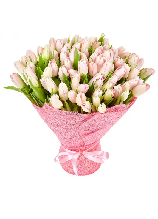 Bouquet  pink tulips