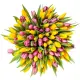 Bouquet of 101 mixed tulips (imported, Netherlands)