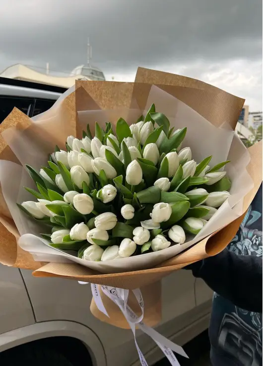 Winter Queen 101 tulips