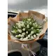 Winter Queen 101 tulips