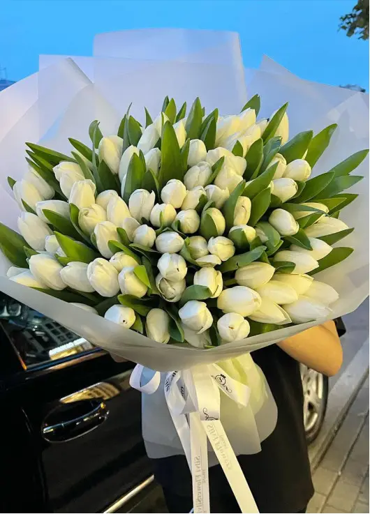 Winter Queen 101 tulips