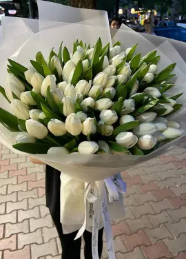 Winter Queen 101 tulips