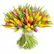 Rainbow spring 101 tulips