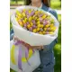 Bouquet of 101 mixed tulips (imported, Netherlands)