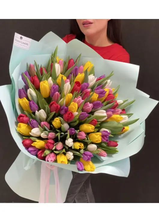 Bouquet of 101 mixed tulips (imported, Netherlands)