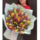 Bouquet of 101 mixed tulips (imported, Netherlands)