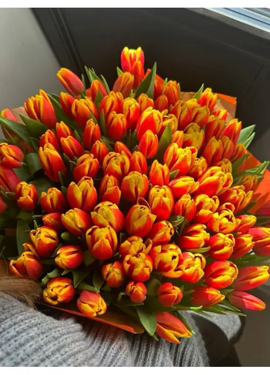 Bouquet of 101 orange tulips (imported, Netherlands)