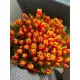 Bouquet of 101 orange tulips (imported, Netherlands)