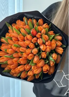 Bouquet of 101 orange tulips (imported, Netherlands)