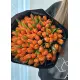 Bouquet of 101 orange tulips (imported, Netherlands)
