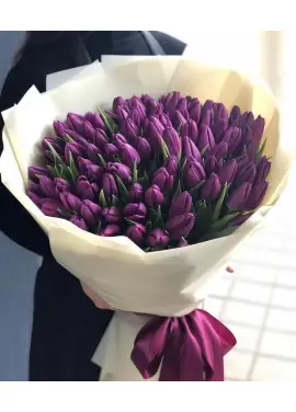 Bouquet of 101 violet tulips (imported, Netherlands)