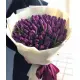 Bouquet of 101 violet tulips (imported, Netherlands)