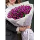 Bouquet of 101 violet tulips (imported, Netherlands)