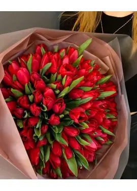 Bouquet of 101 red tulips (imported, Netherlands)
