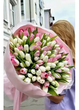 Bouquet of 101 tender tulips (imported, Netherlands)